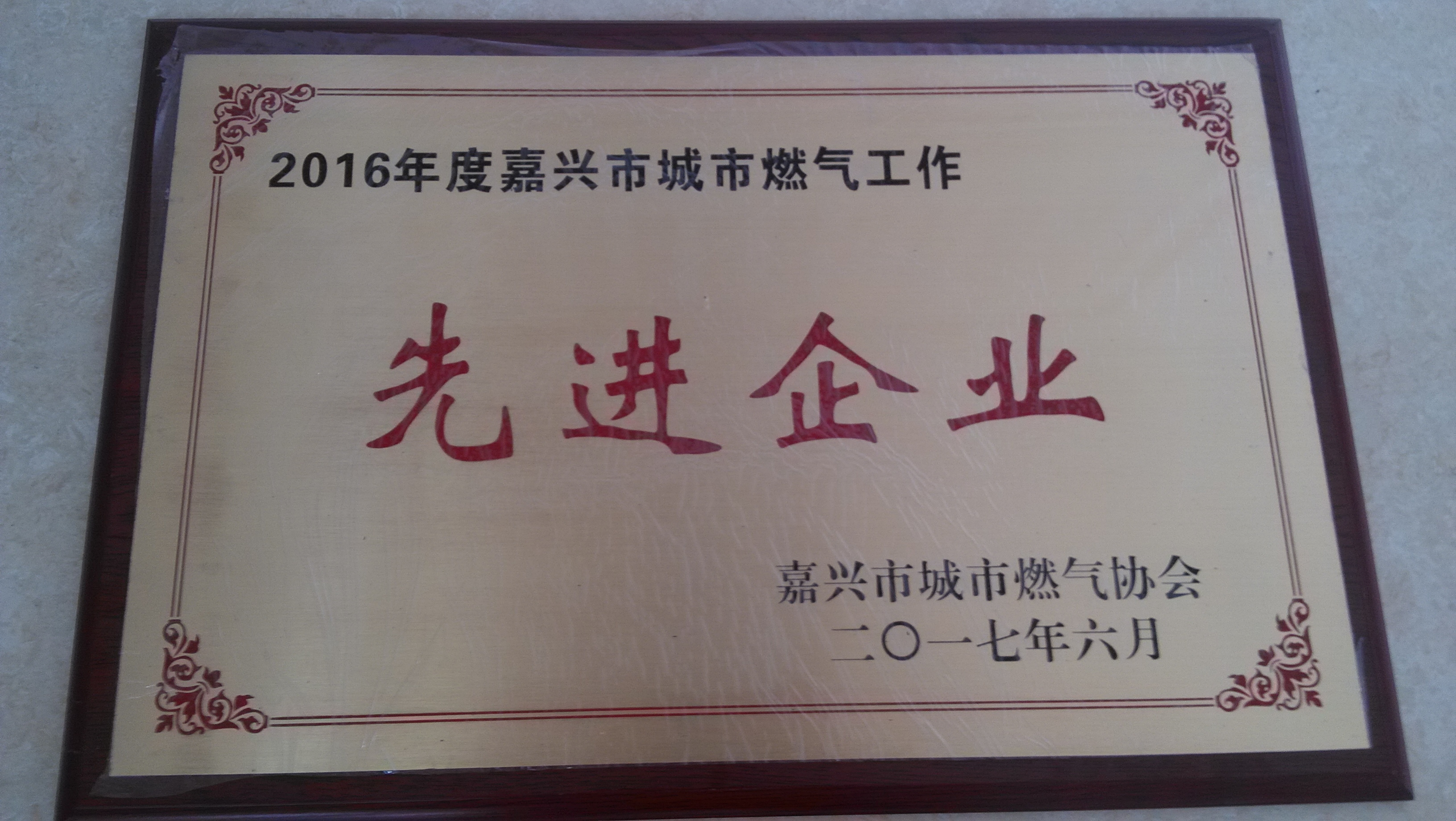 2017.6城市燃?xì)夤ぷ飨冗M(jìn)企業(yè)2016年度.jpg